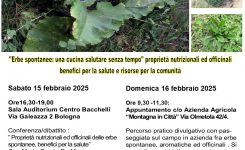 Erbe Spontanee una cucina salutare senza tempo 15/16 febbraio 2025